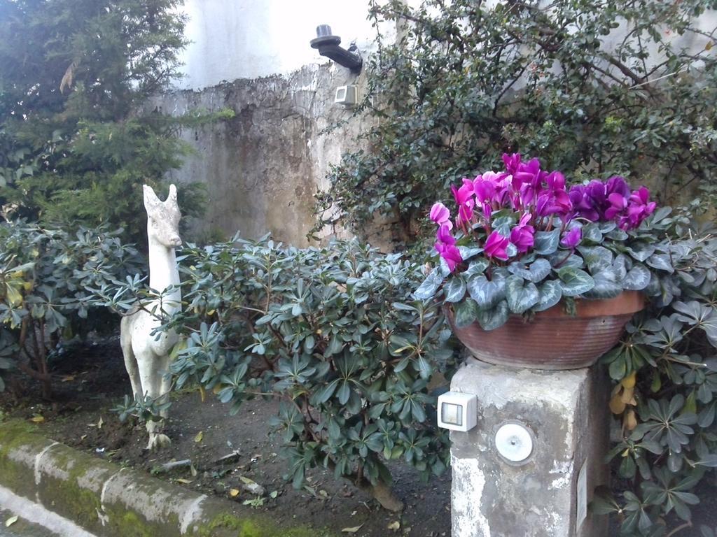 Bed and Breakfast Domus Aurea à Naples Extérieur photo
